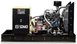 Газовый генератор SDMO GZ25 с АВР