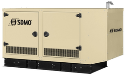 Газовый генератор SDMO GZ25-IV с АВР